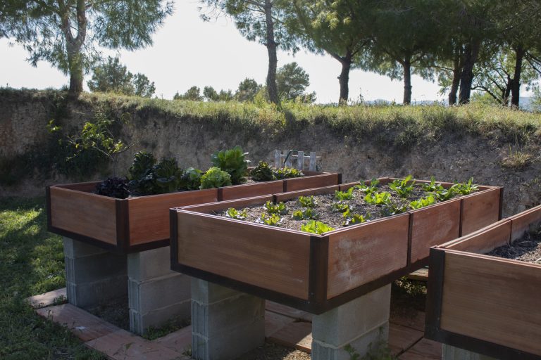 casa-rural-penedes-hort-natura