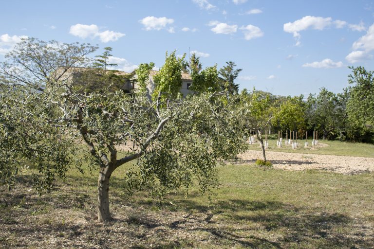 casa-rural-penedes-romegosa-10