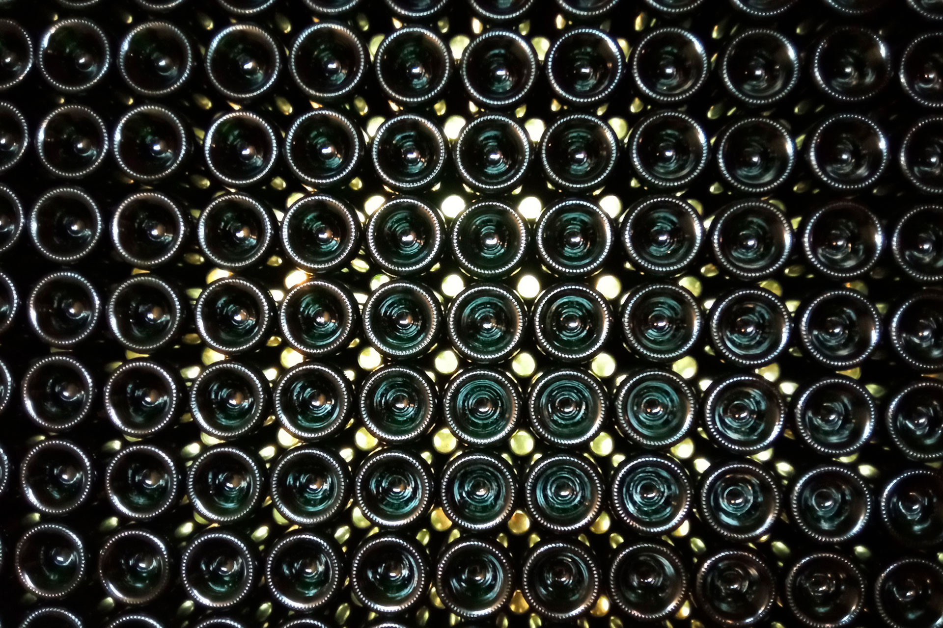 Coneix  el món  del  cava!