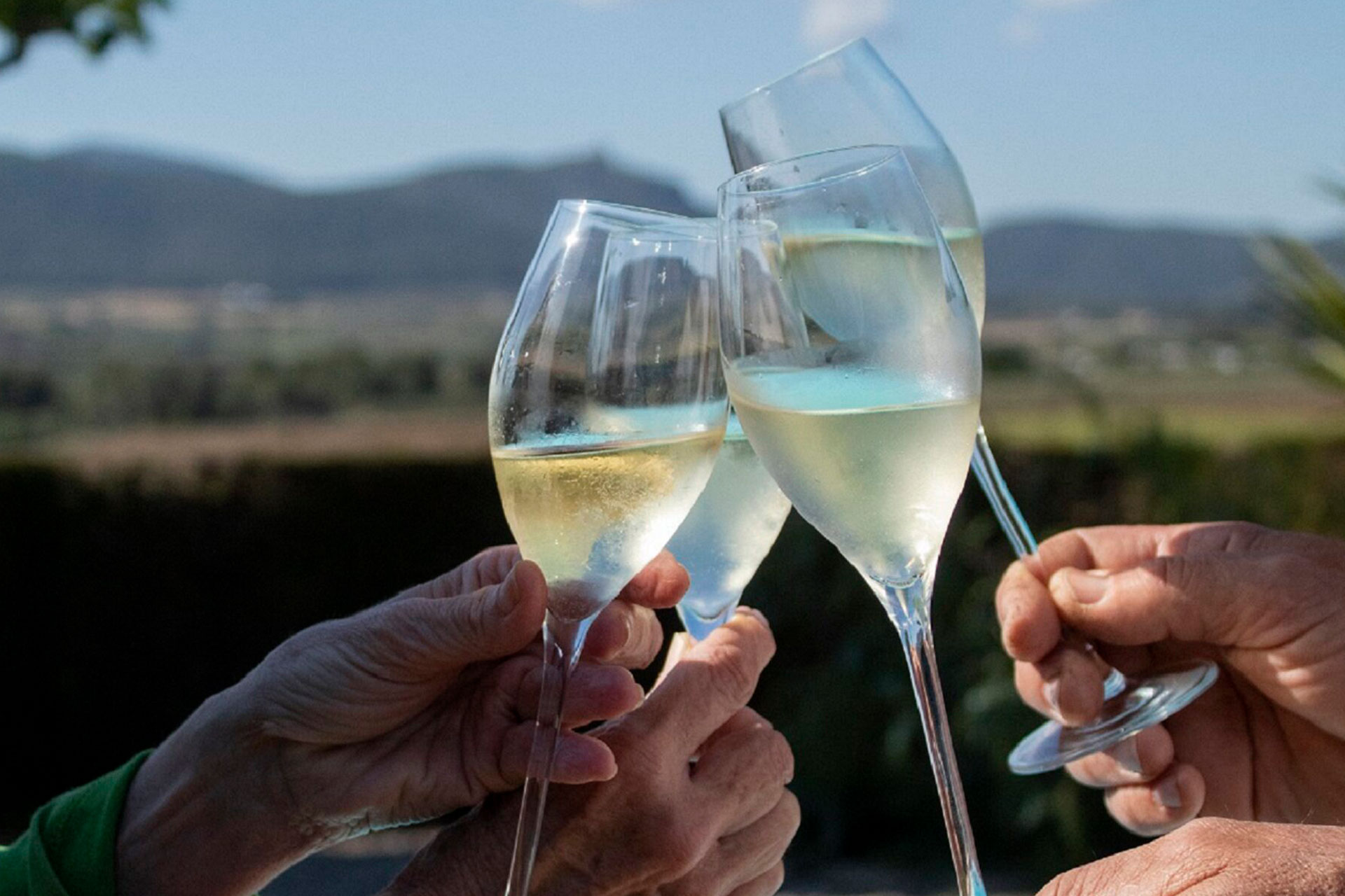 Celebra el plaer de viure!